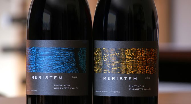 Meristem
